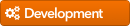 Development Team